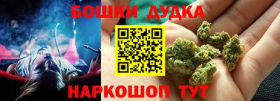дмт Будённовск